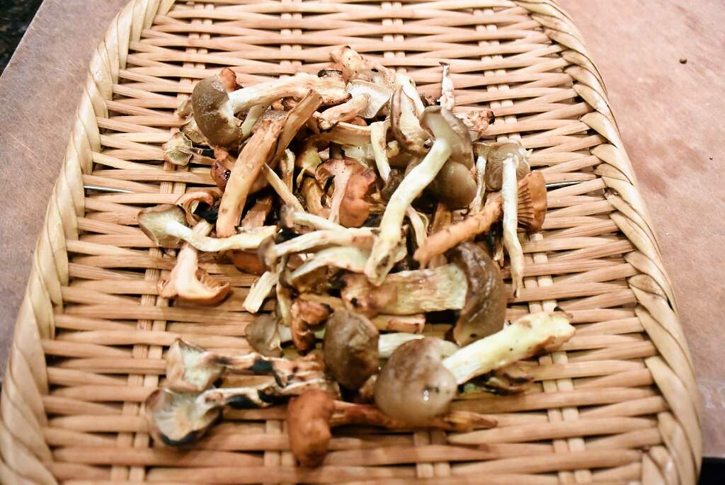 Recipes for Tom Shimeji to shantoreru no momijioroshiae / grilled