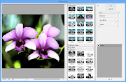 . a package of tools for refining and preparing images for the web.