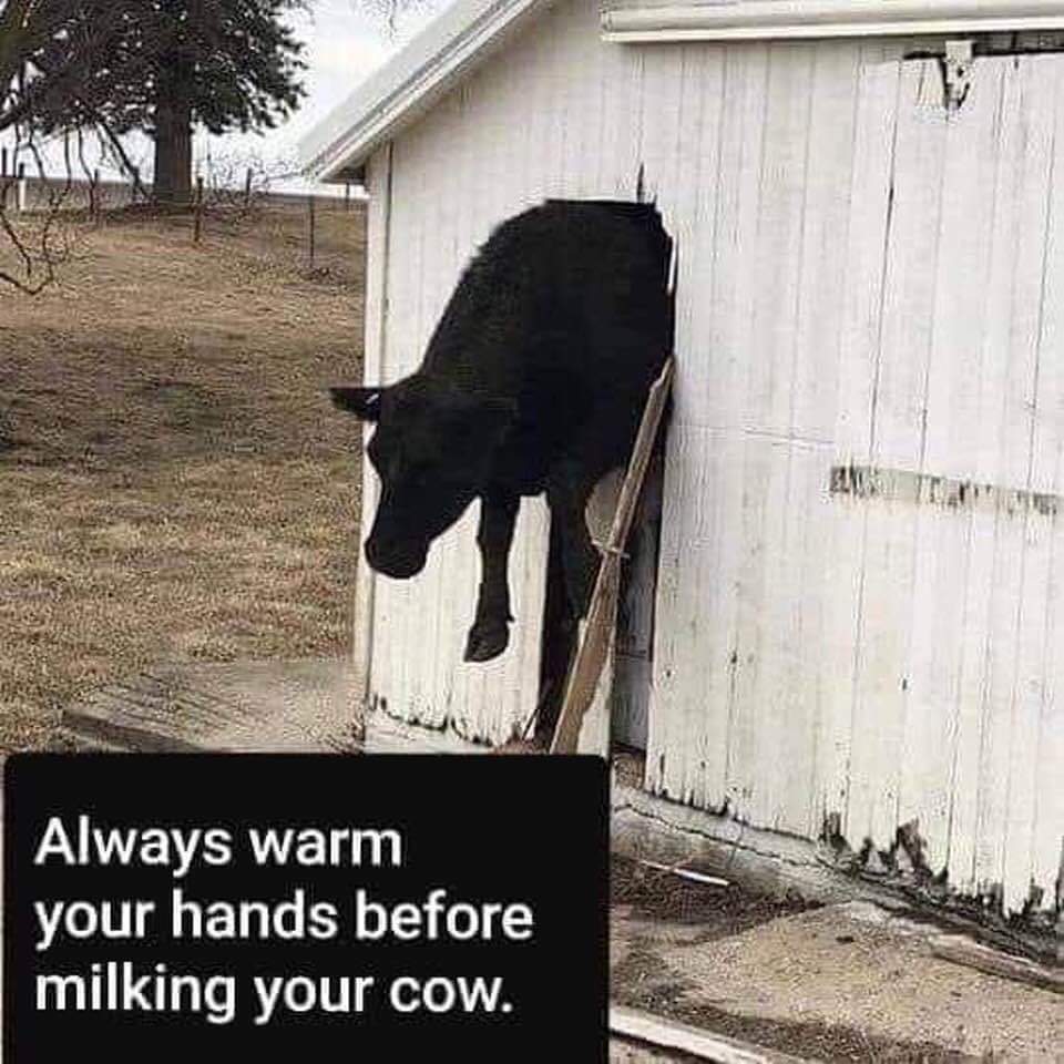 Warm-Farm-Advice.jpg