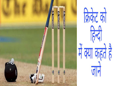Cricket Ka Hindi Name Kya Hai ?