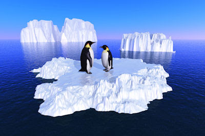 Pinguinos en los glaciares - Fotos del Polo Norte - Animales en el mar