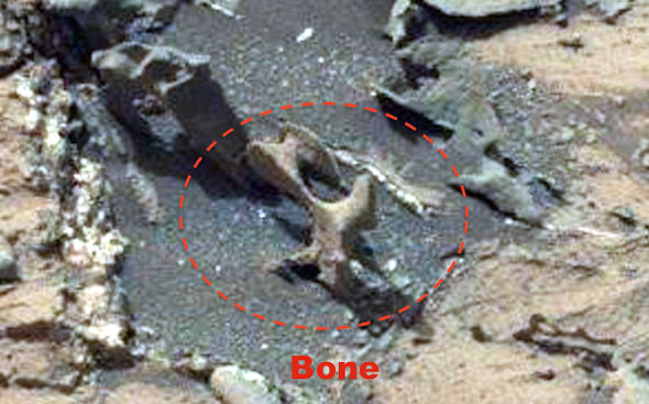 Skeleton bones found on Mars