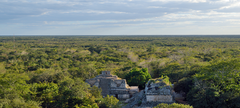 Vue panoramique sur la jungle recouvrant la péninsule du Yucatán