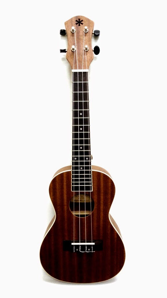 Ukulele 101 ELYS Ukulele