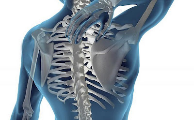 Movilidad de la columna dorsal