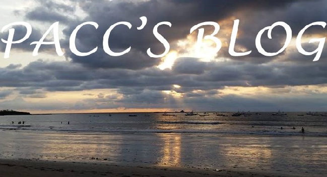 Pacc's Blog