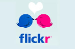 Meu Flickr