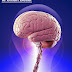 LOHAS Smart Bulb A Good Idea to Smart Decor