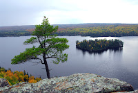 Image of a tree and a lake