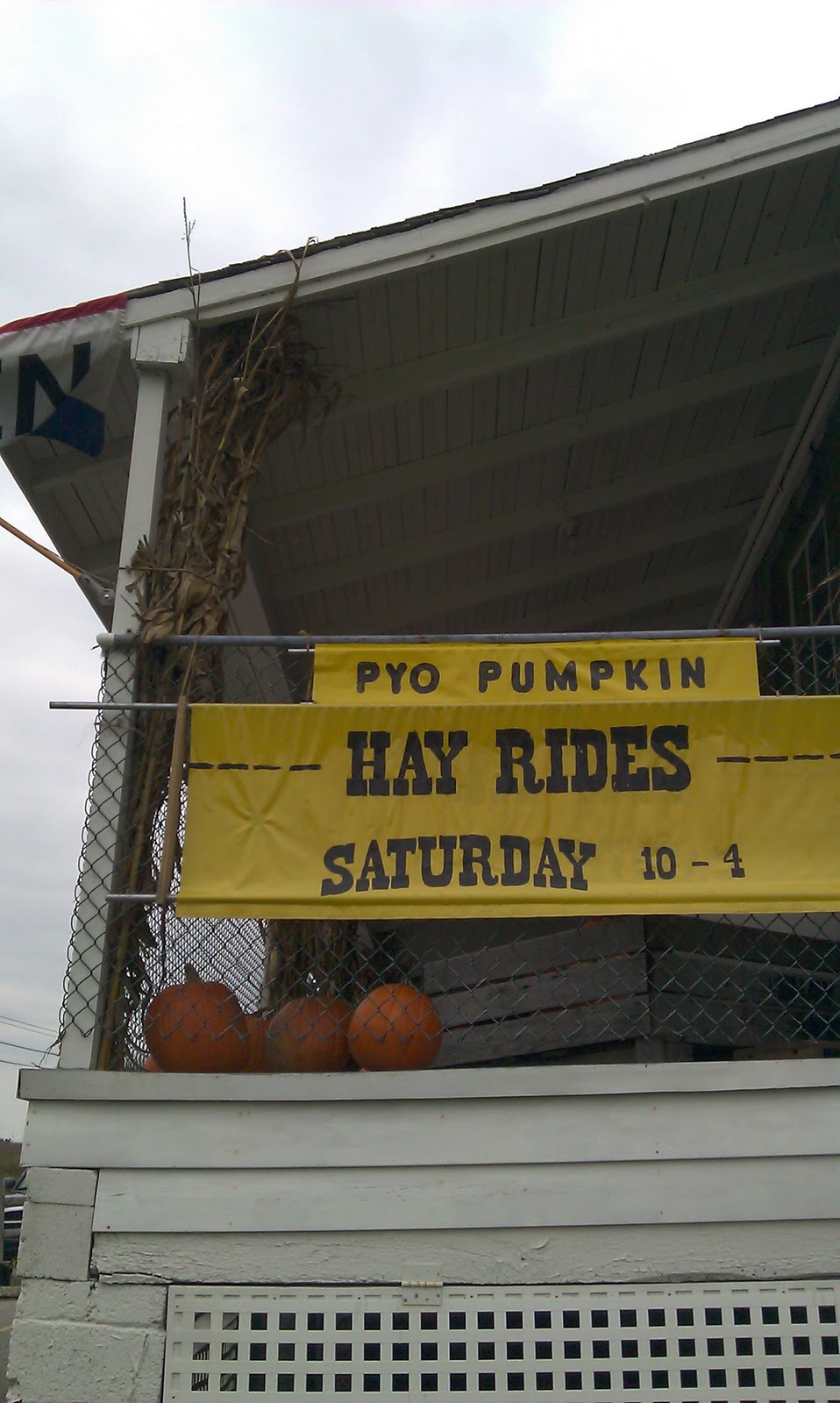 Julie's Journeys Stewartstown, Pennsylvania Shaw Orchards