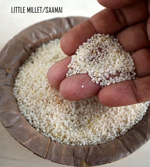 Little millet - Saamai