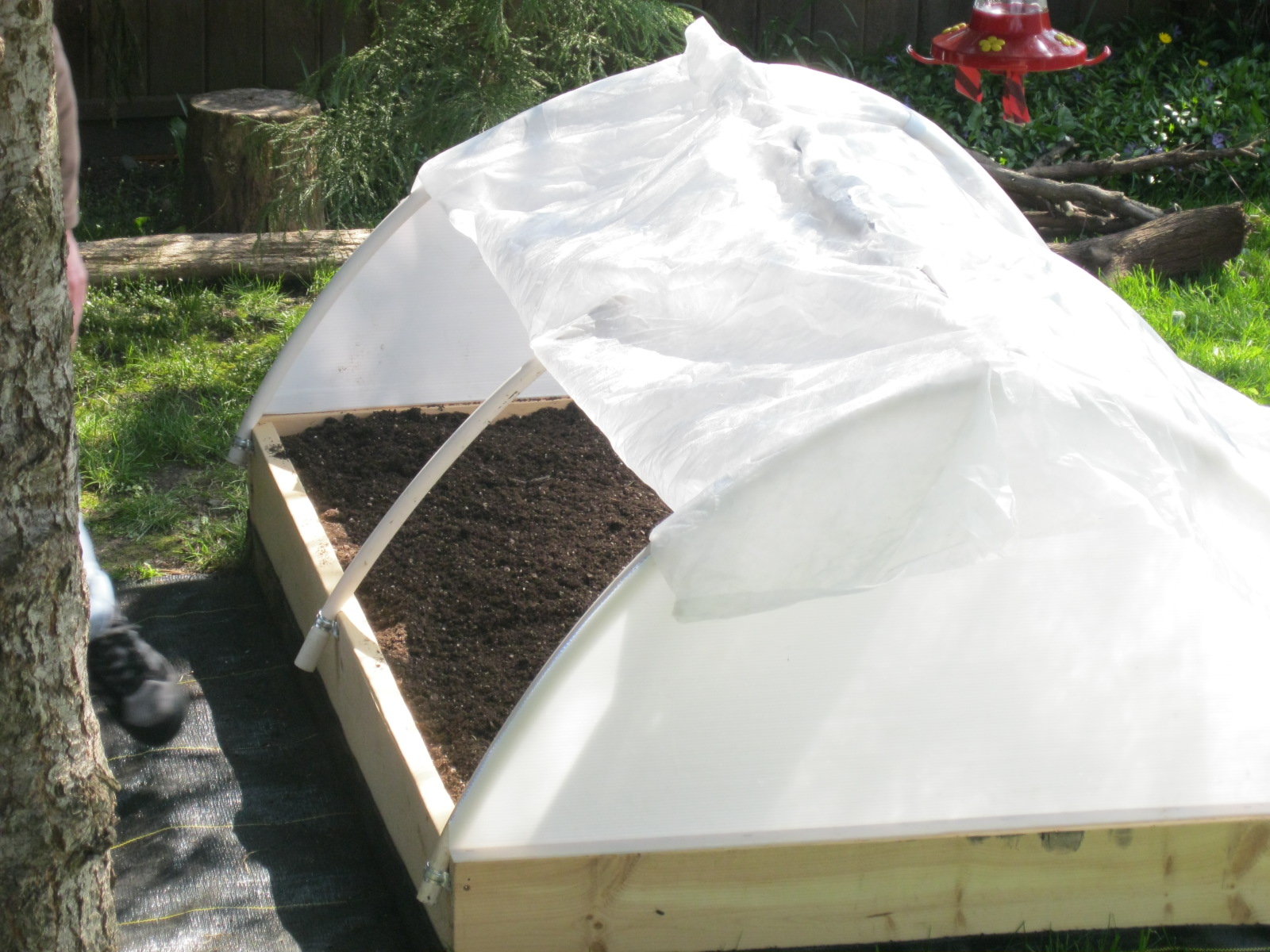 gumboot goddess in the kitchen carrot house