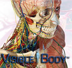Visible Body Human Anatomy Atlas 7.4.01 Visible Body Human Anatomy Atlas 7.4.01