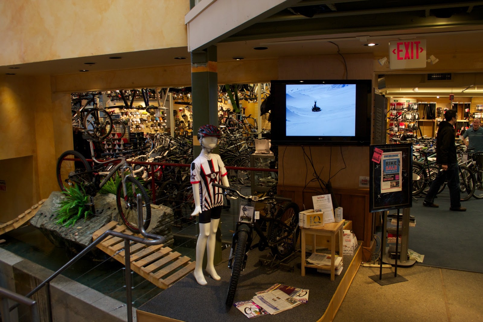 Izip Road Trip Ski Rack Burlington, VT