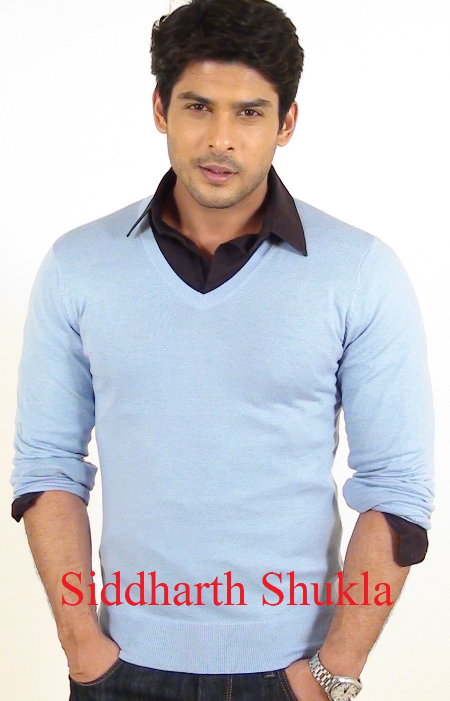 Siddharth Shukla Pemeran Shiv Anandhi ANTV - Sekilas Profil