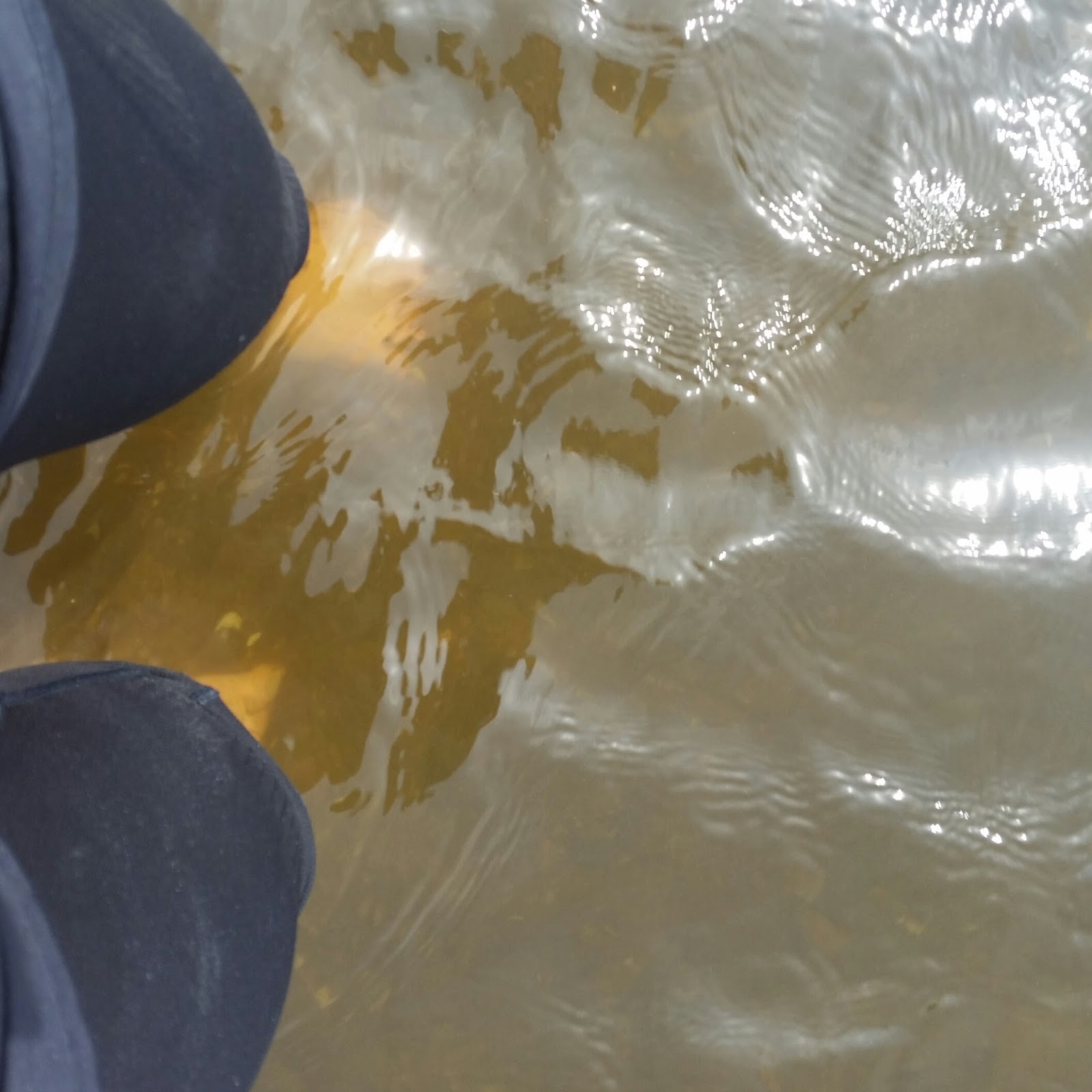 Bausituation Dresden Neumarkt Aktuell