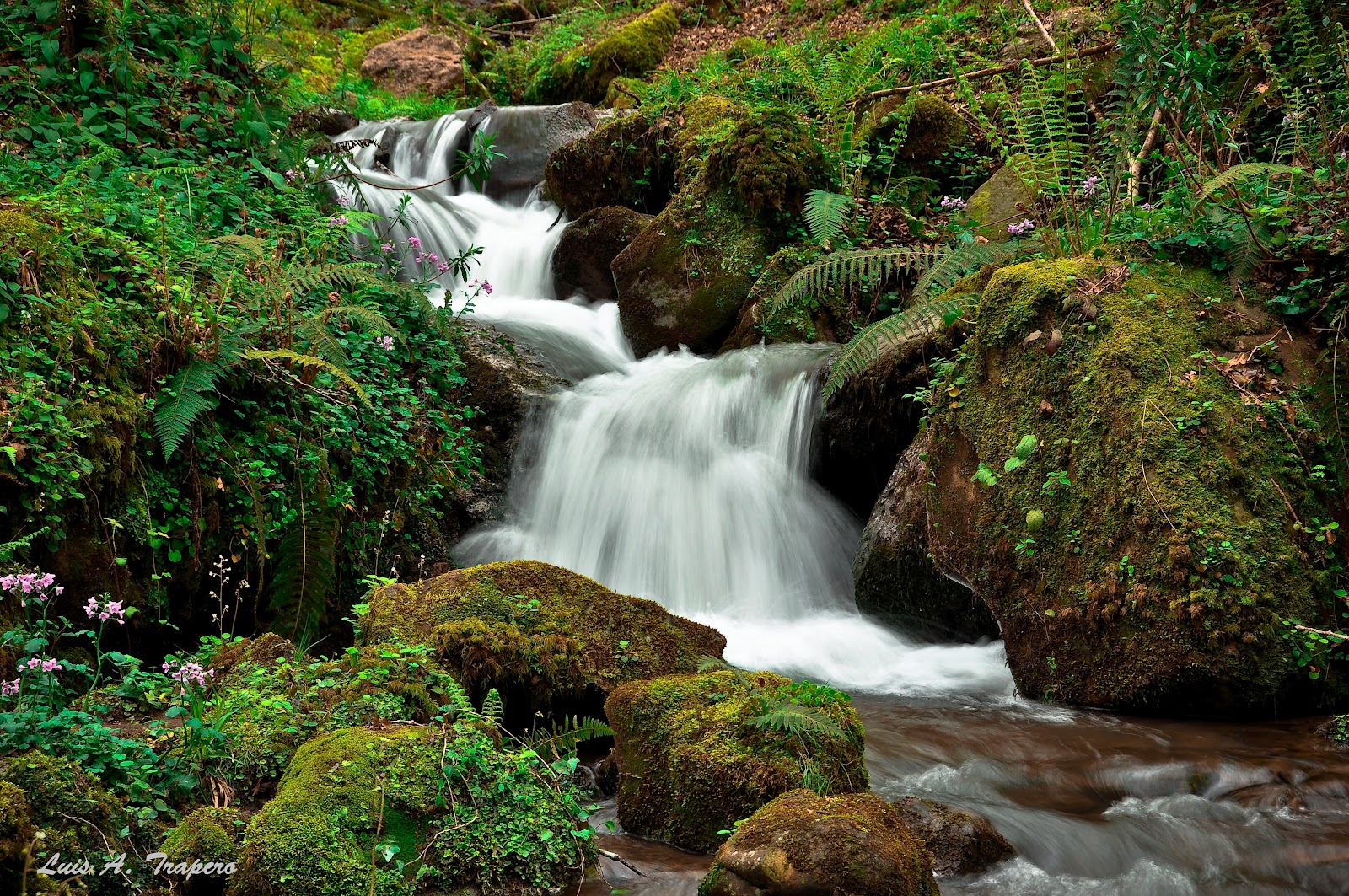 Foto de Mirador Monte Tejas en Corvera de Toranzo, Cantabria