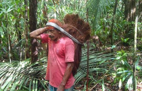 Blog do Canoeiro: Piaçabeiros escravos em propriedades particulares no interior do Amazonas.