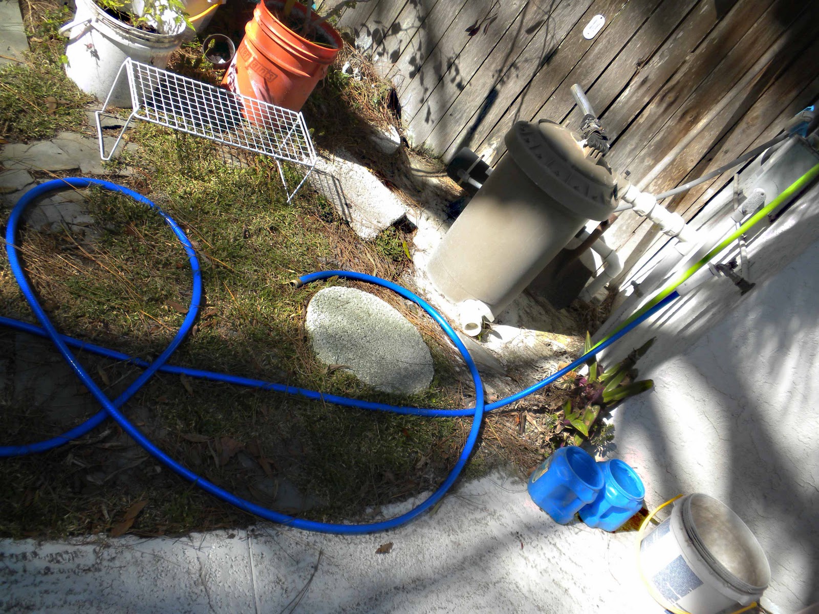 MadSnapper Blue Hose & Water Bucket