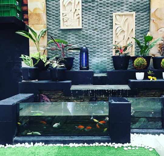 JASA TUKANG KOLAM IKAN KOI SURABAYA, SIDOARJO, GRESIK DAN MALANG