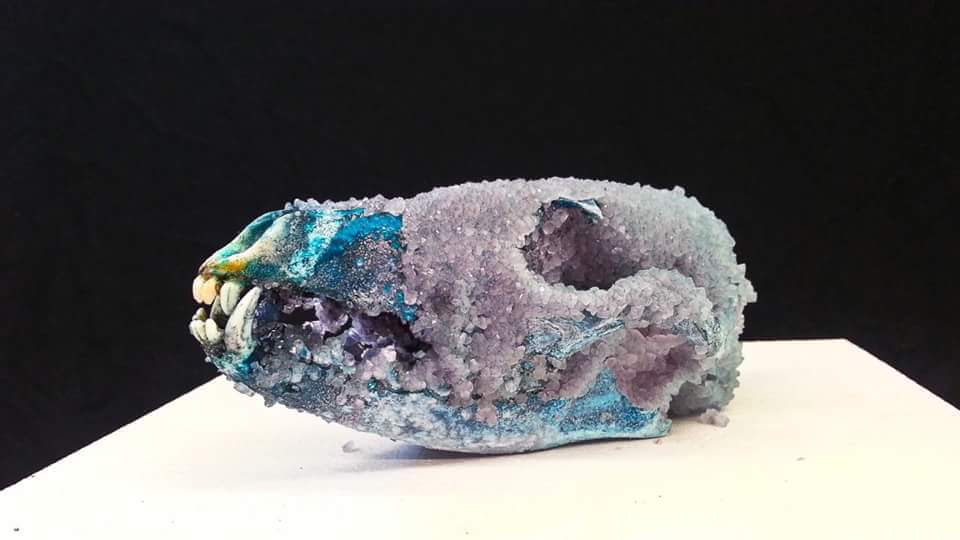 crystallized coyote skull
