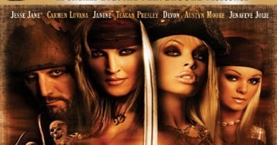 the pirate download movie