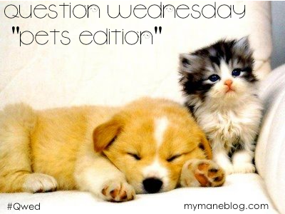Question Wednesday #7 {Pet's Edition}
