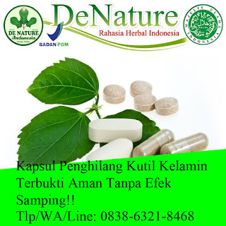 Obat Kutil Kelamin