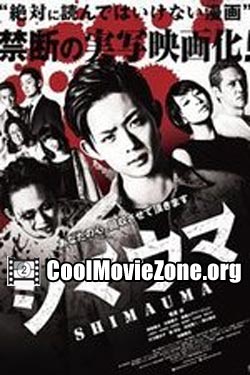 Zebra (2016)