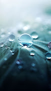 Beatiful iPhone Wallpaper (iphone wallpaper pure dew closeups beautifuliphonewallpaper blogspot com )