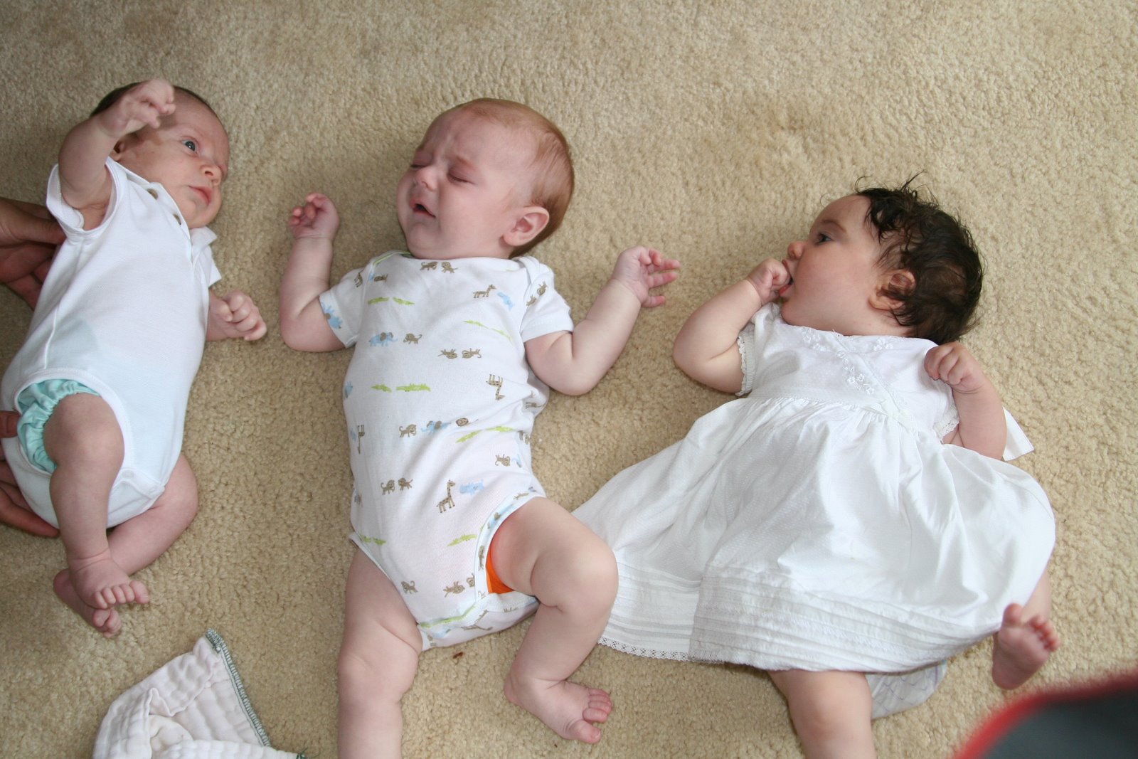 Our House: Lots and Lots of babies