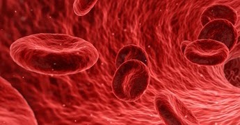 Peran dan Fungsi Darah Dalam Tubuh Manusia ~ Permathic Blog