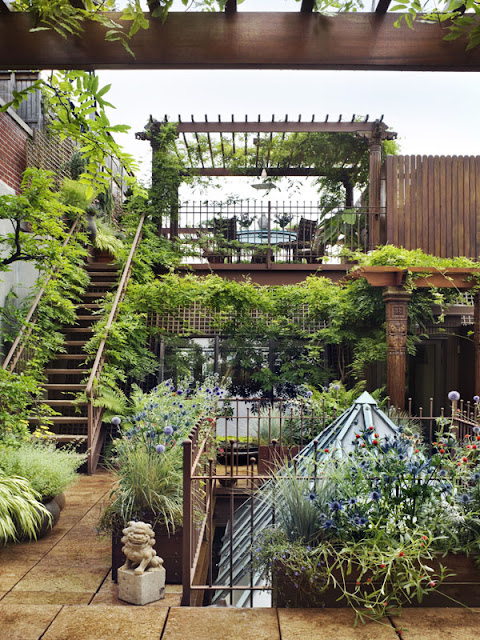 View of BlueBird Hill: penthouse garden