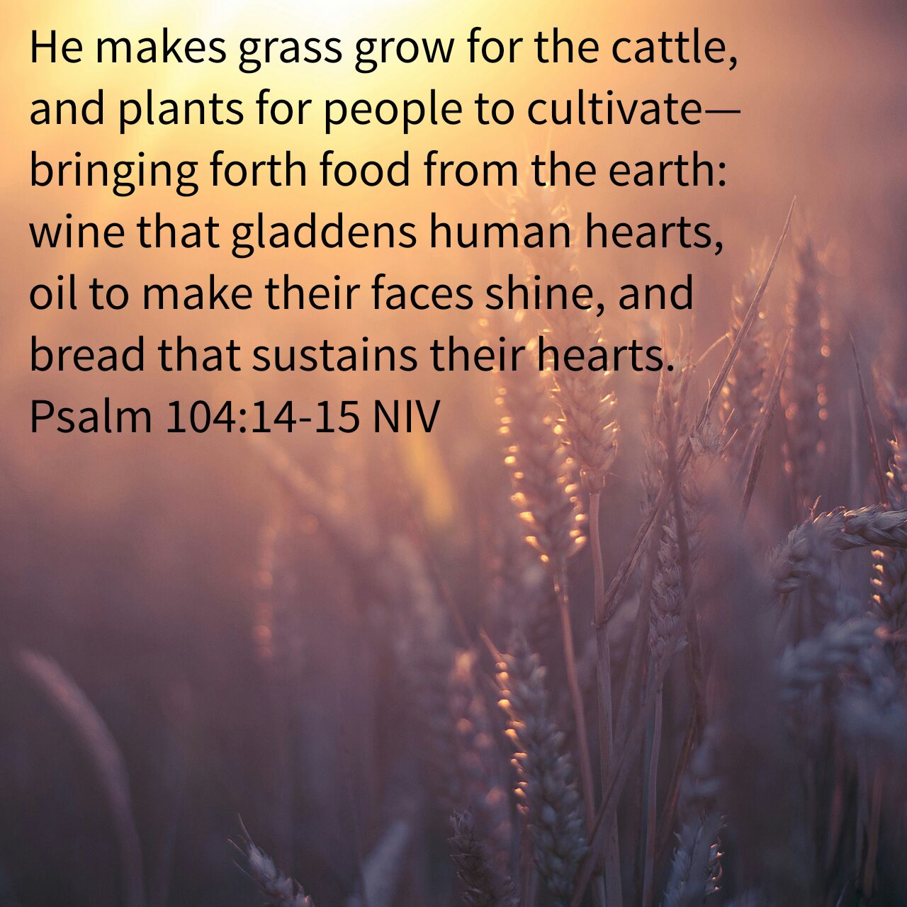 First Fruits Of The Day Psalm 104 14 15 The Glories Of Everyday Life first-fruits-of-the-day-psalm-104-14-15-the-glories-of-everyday-life