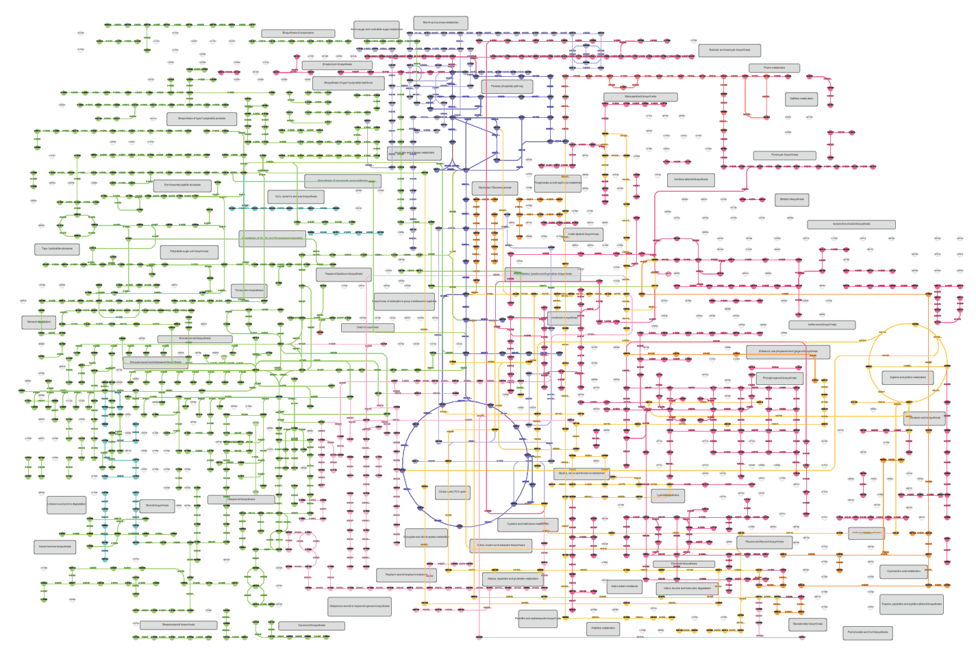 Armchair Biology KEGGWatch, part III