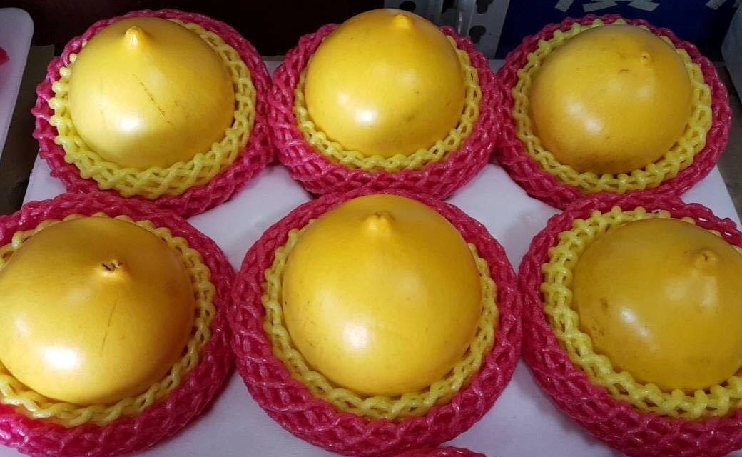 [Image: vusuadailoan_03.jpg]