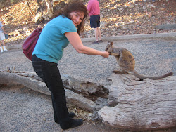 Feeding a Rock Wallaby at Alice Springs