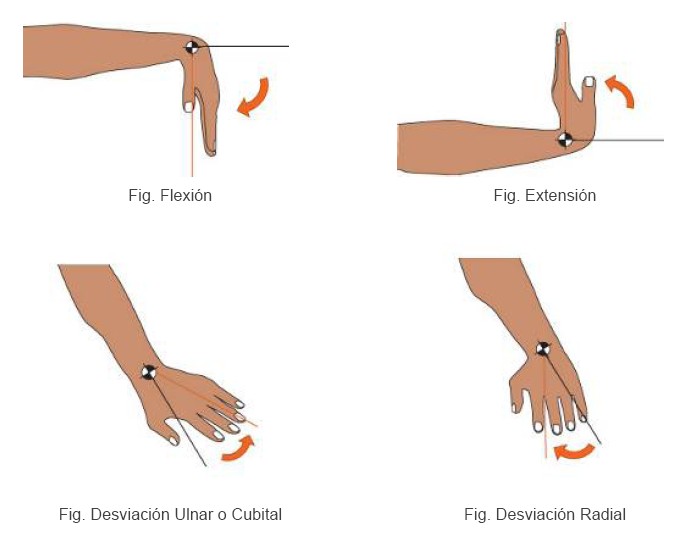 María Sebastián Pulido Mobilisierung Übungen