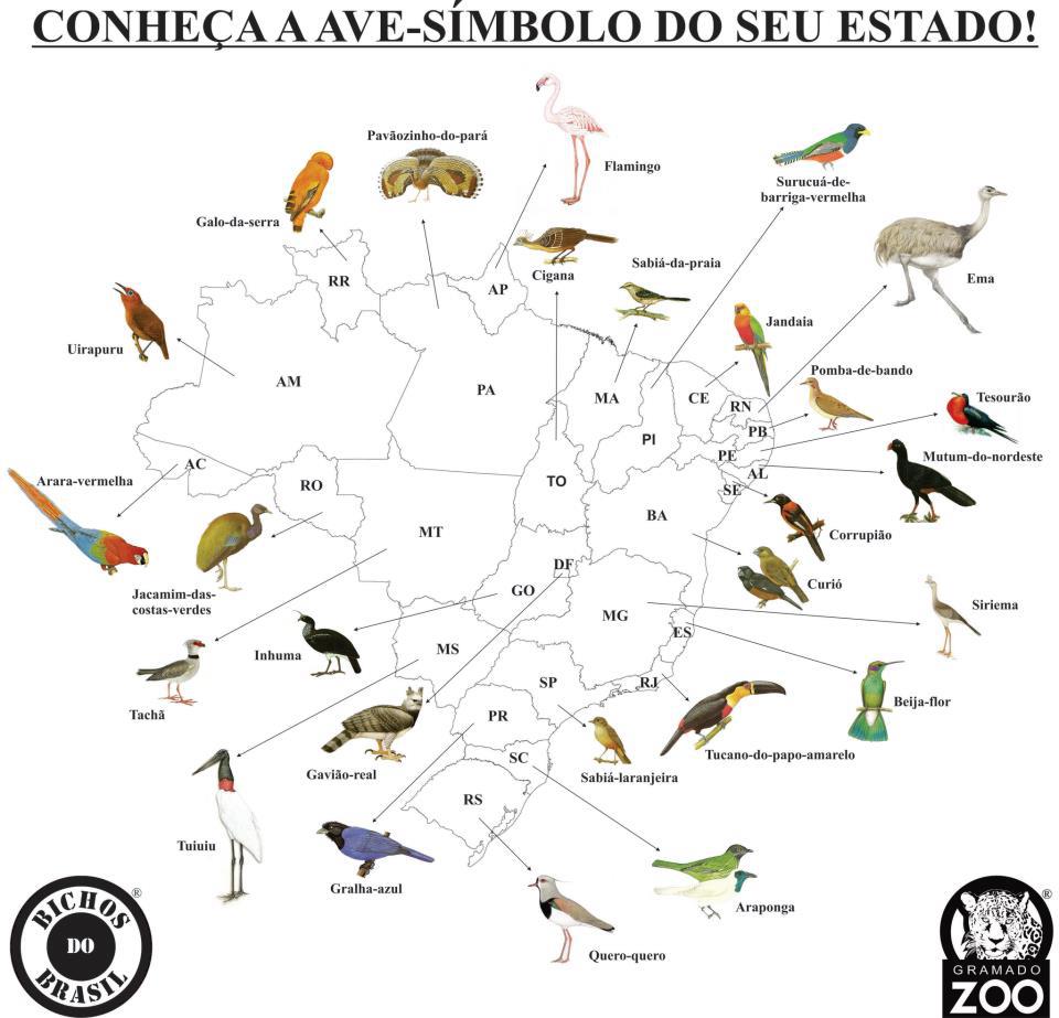 Aprendendo por aí AvesSímbolos dos Estados Brasileiros Aprendendo por aí AvesSímbolos dos Estados Brasileiros