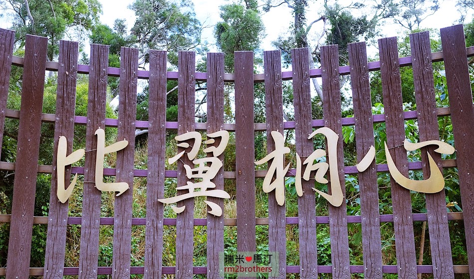 水流東桐花步道
