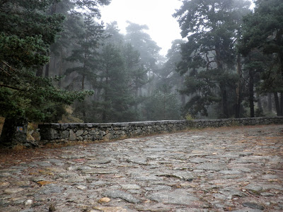 Paseo por el campo en otoño. Valle de la Fuenfría. Sierra de Madrid