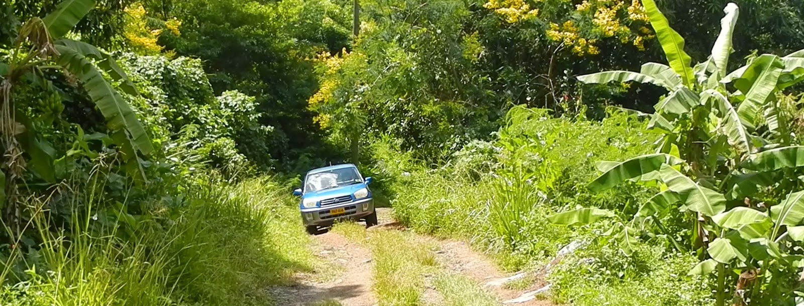 Grenada rental car road trip, day 1