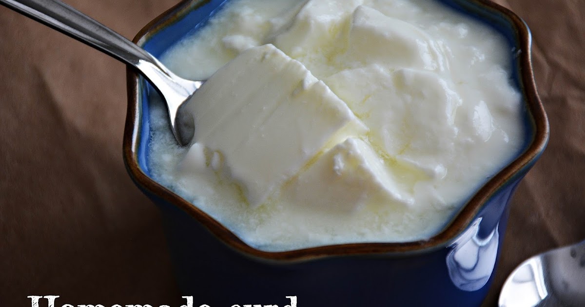Homemade curd / plain yogurt with video 7aum Suvai