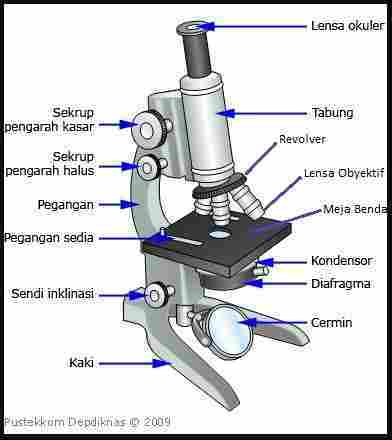 Mikroskop : Bagian - Bagian, Fungsi dan Cara Penggunaannya ...