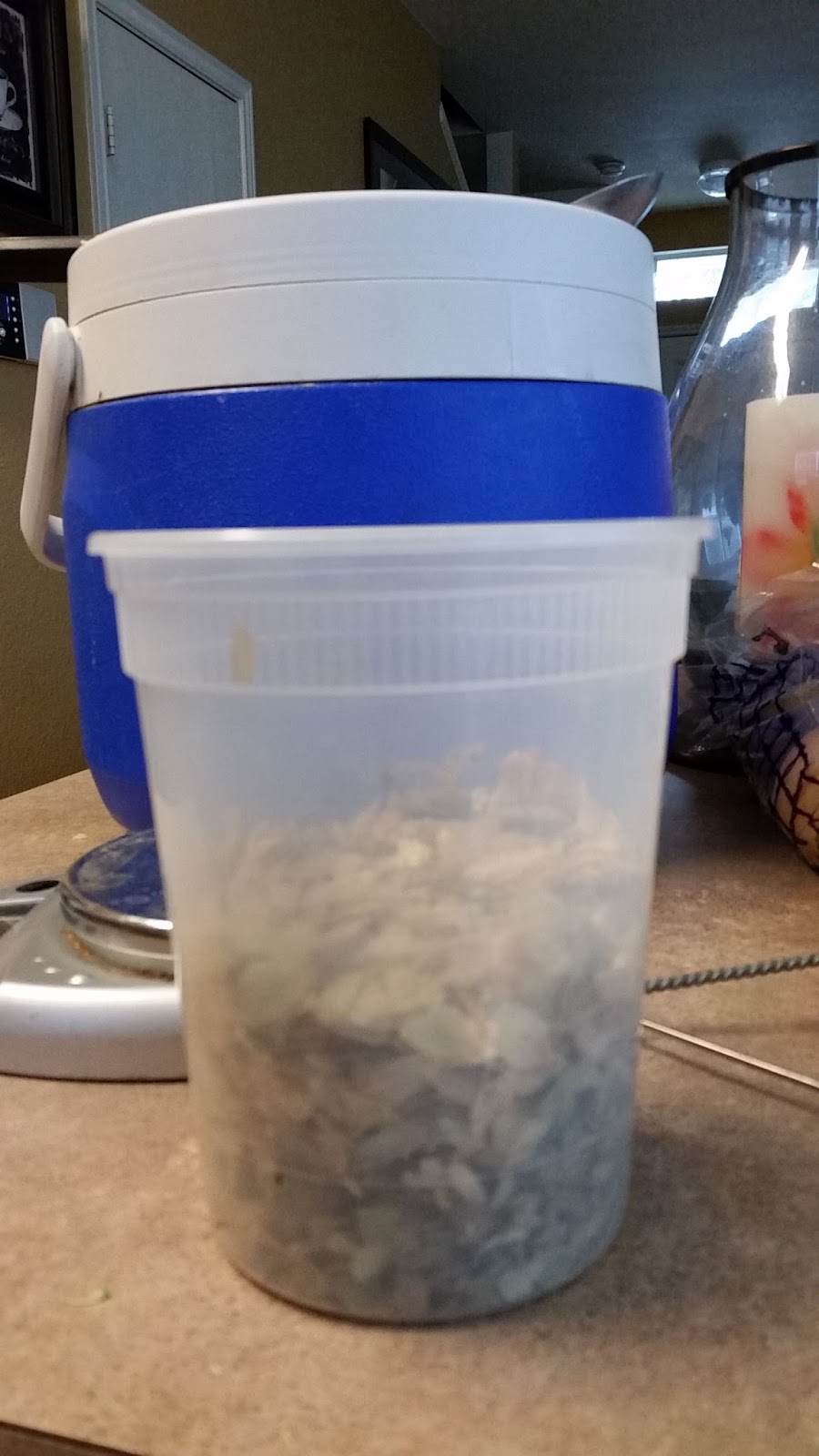 One Gallon Spontaneous Fermentation 2 January 2017 Brain Sparging