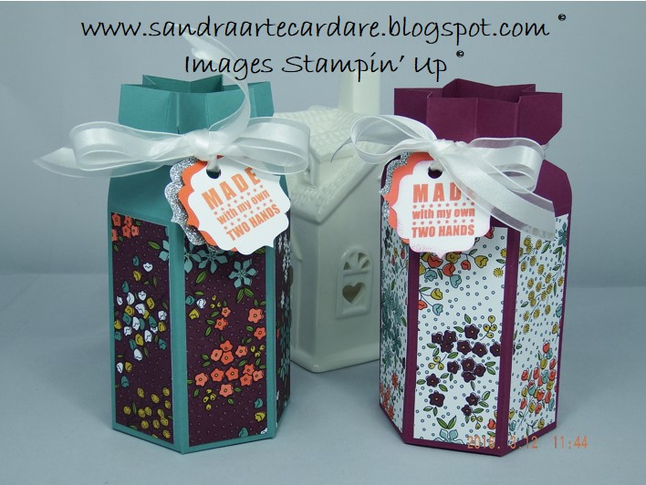 SandraArteCardare Jam Jar Presentation Boxes using Stampin' Up Supplies