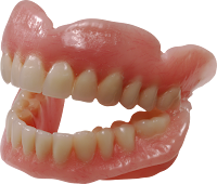 Jaw (rahang) Jaw (rahang)