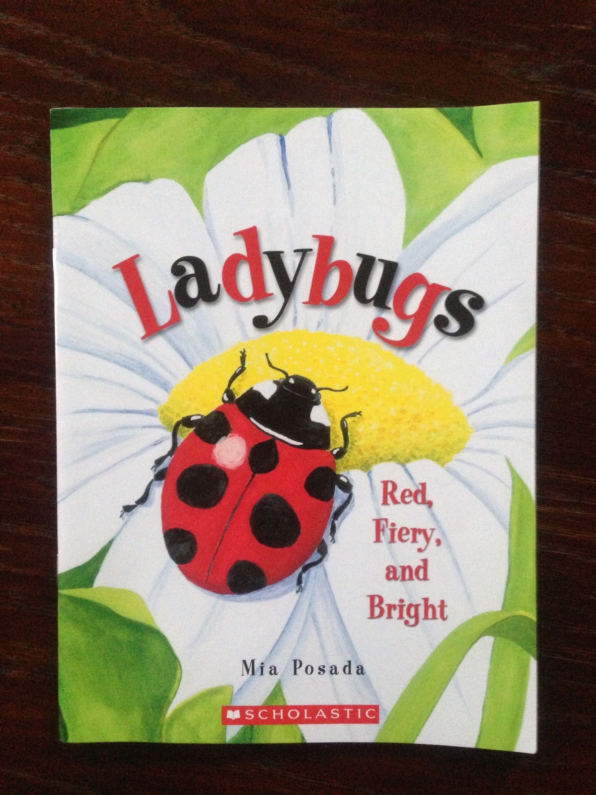 Ladybug Math Stories (& A Little Bit of Lifecycles!) | A Sunny Day in ...