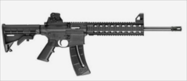 ask a firearms question firearm forum question archangel ruger 10