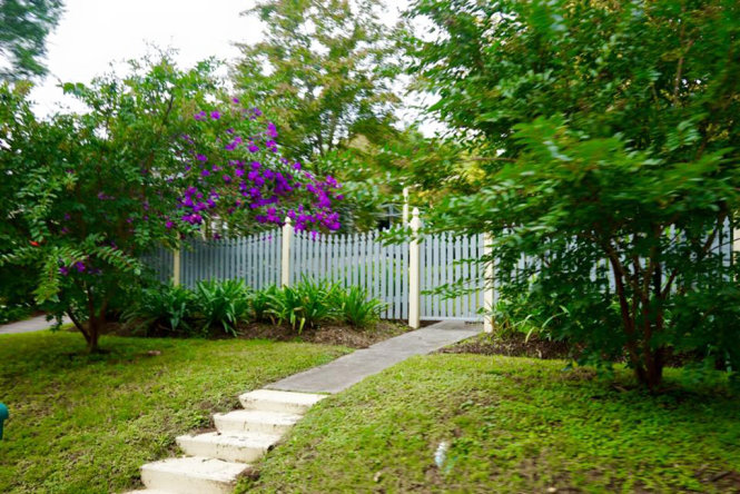 [Image: Sac-tim-hoa-mua-ruc-ro-trong-thang-3-tai-Sydney-5.jpg]